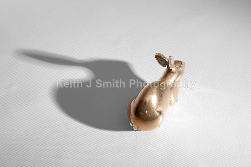 7SKJ3820 - Studio Still Life