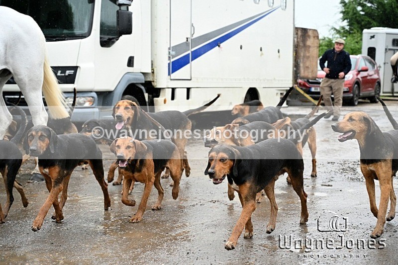 WJ7_8332 - Berks & Bucks Blackcroft Farm 20-10-24