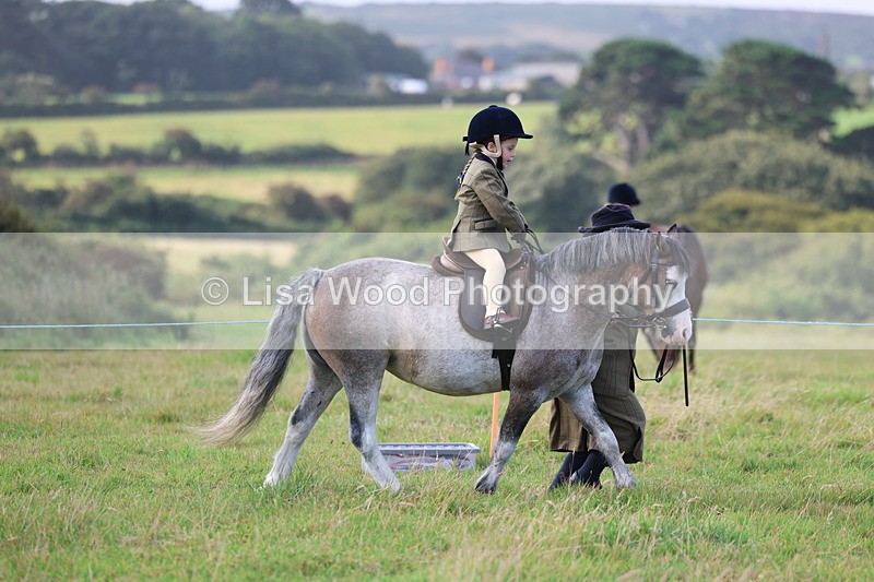 3E7A3368 - Class 2: Lead rein