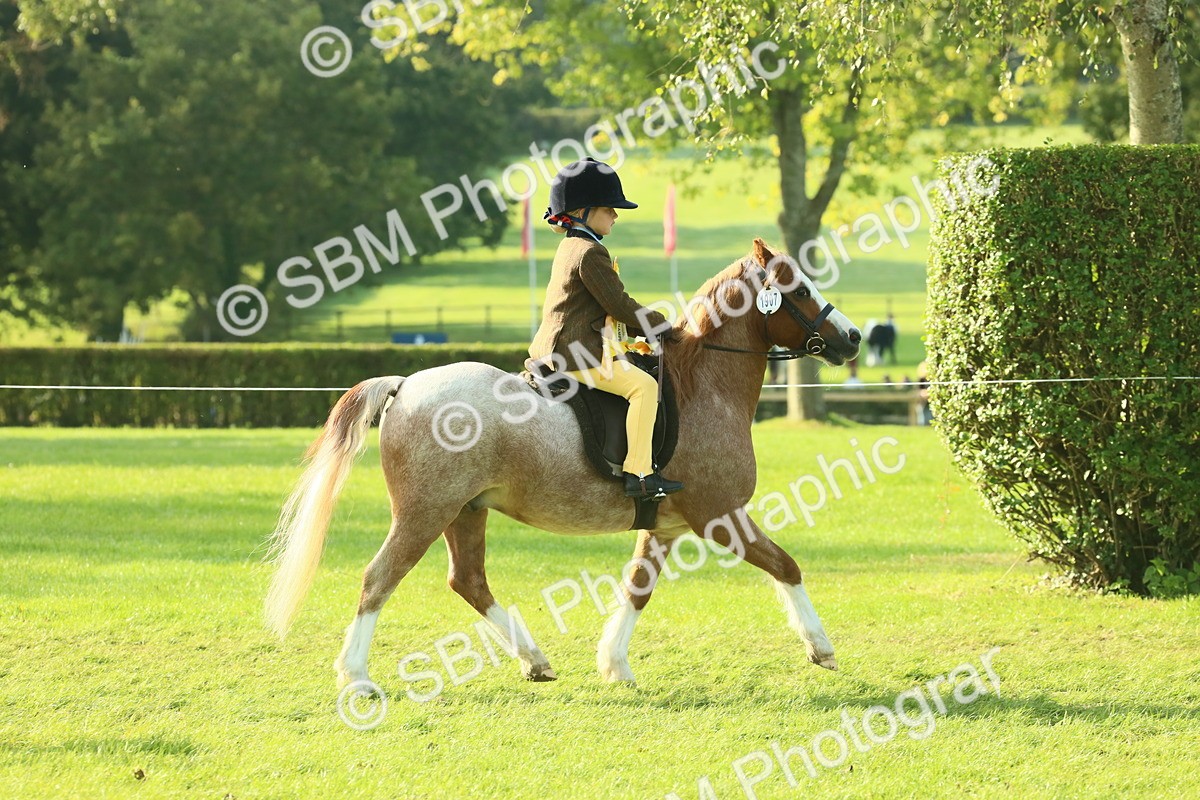 SBM_59286 - S38 - Starters Ridden Showing