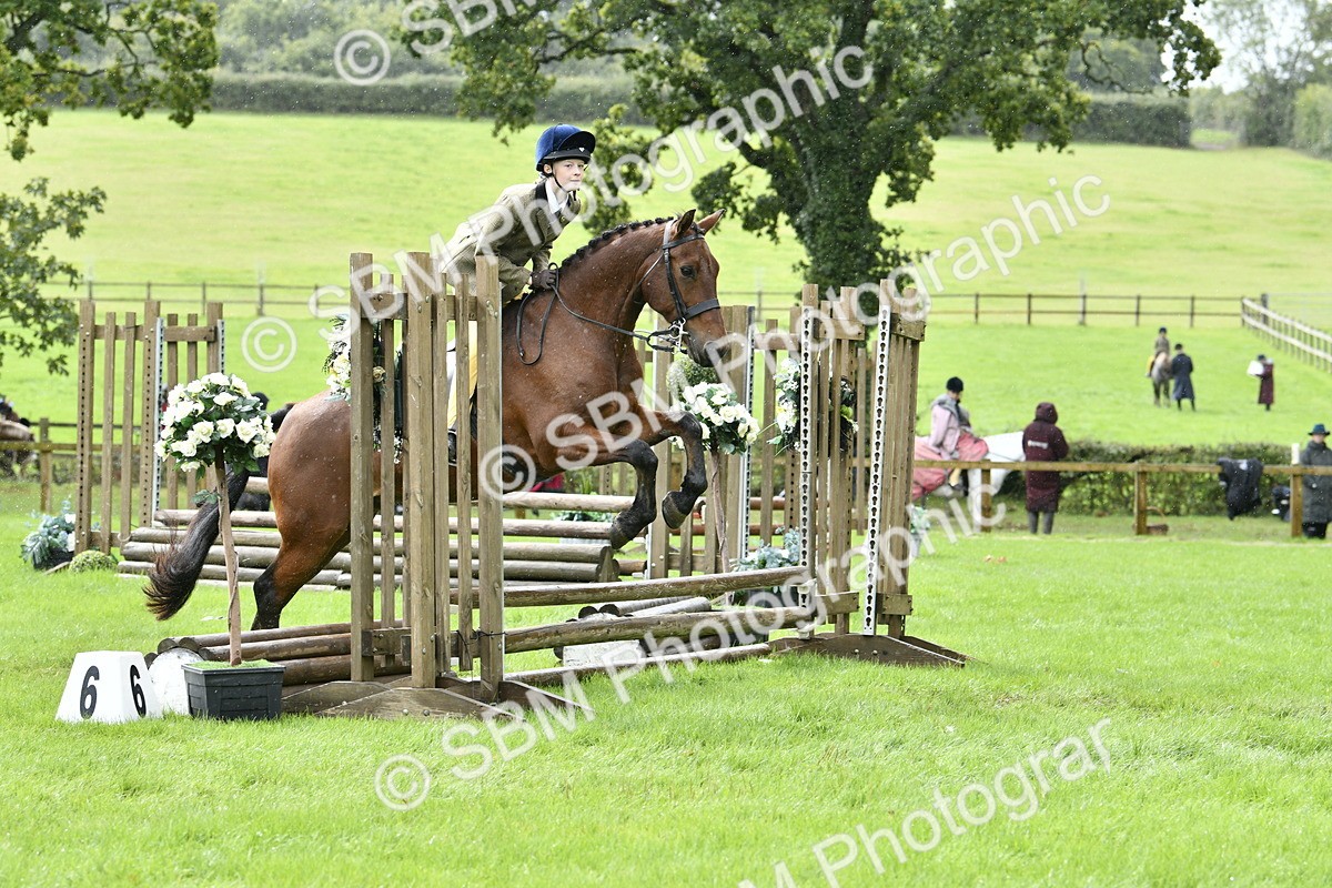 SBM_41416 - S32 - Mountain & Moorland Working Hunter Pony