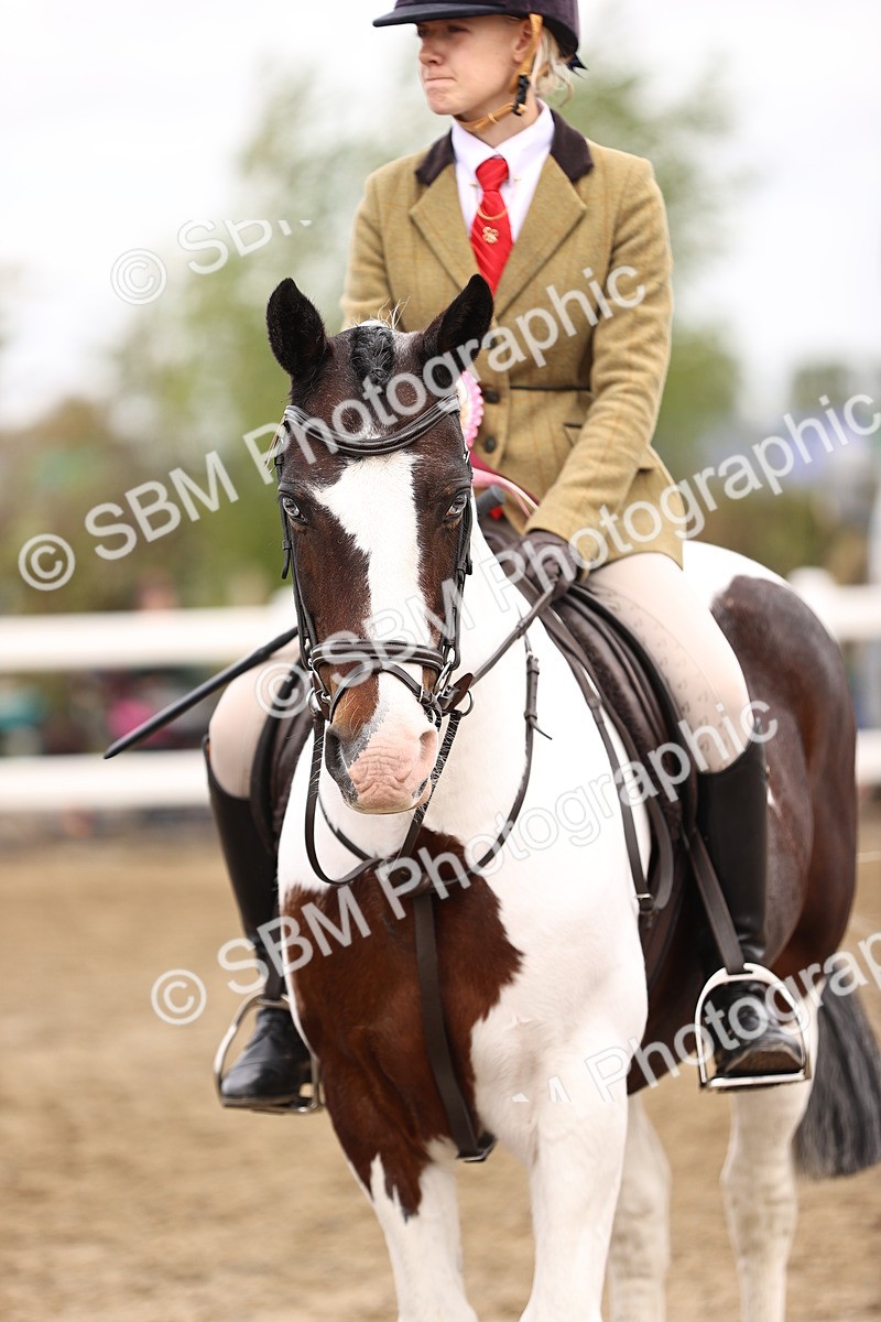 SBM_01454 - Class 54 - Riding Club Horse Pony