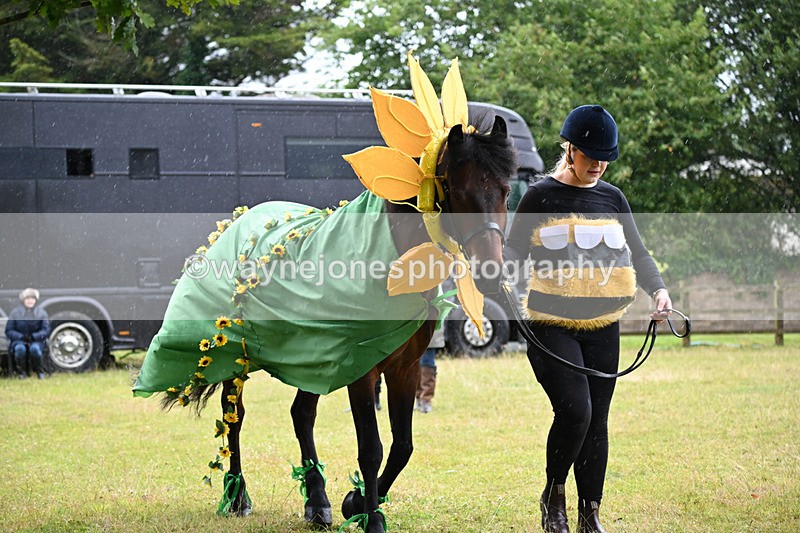 WJ6_9061 - Class 11 Fancy Dress