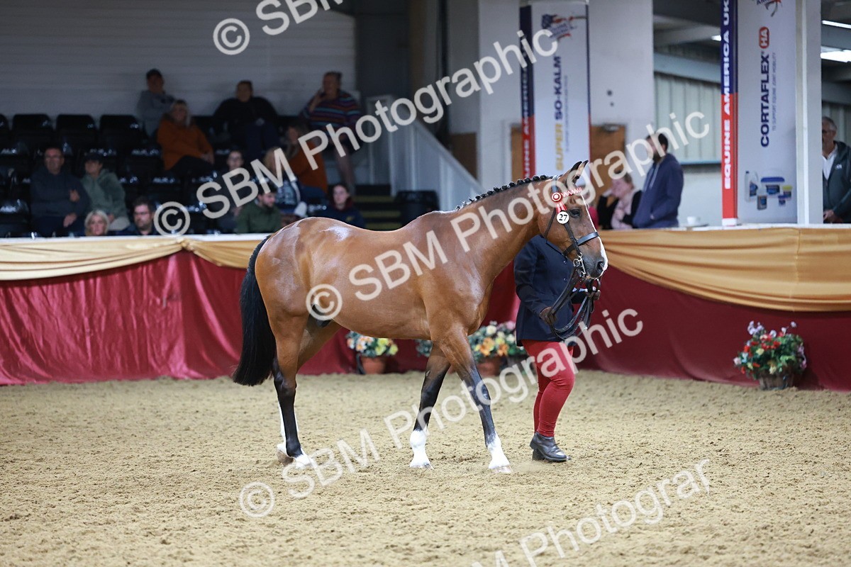 SBM_20098 - Class C - Novalty Champ