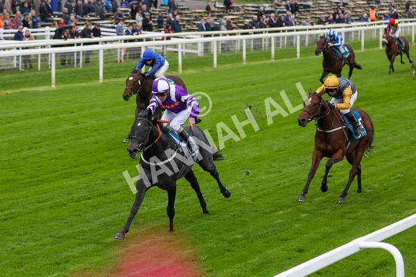 131023-Race 1-Pilgrim-9719 - Race 1 2.05pm William Hill EBF Novice Stakes