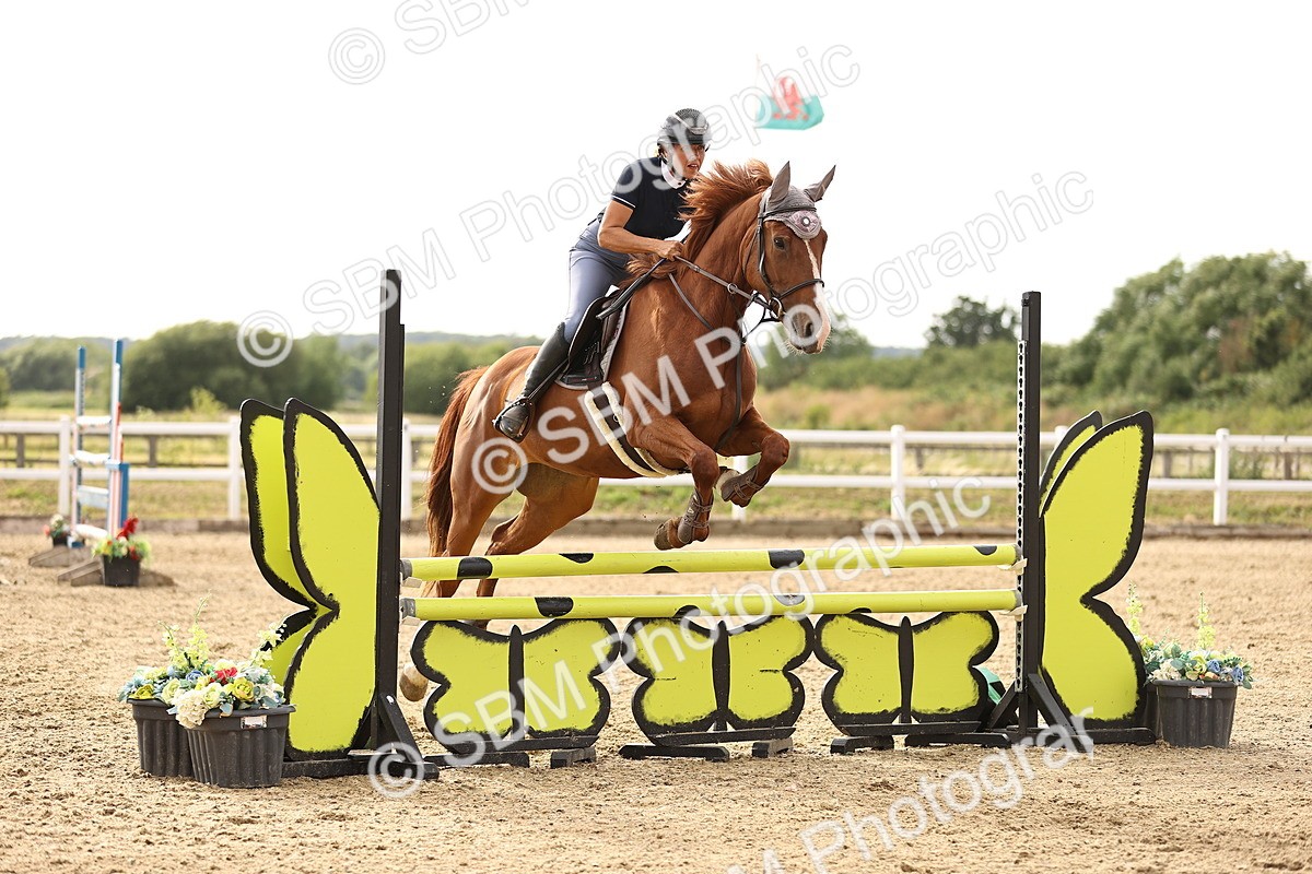 SBM_005003 - Class 24 - Arit Senior British Novice - 90cm