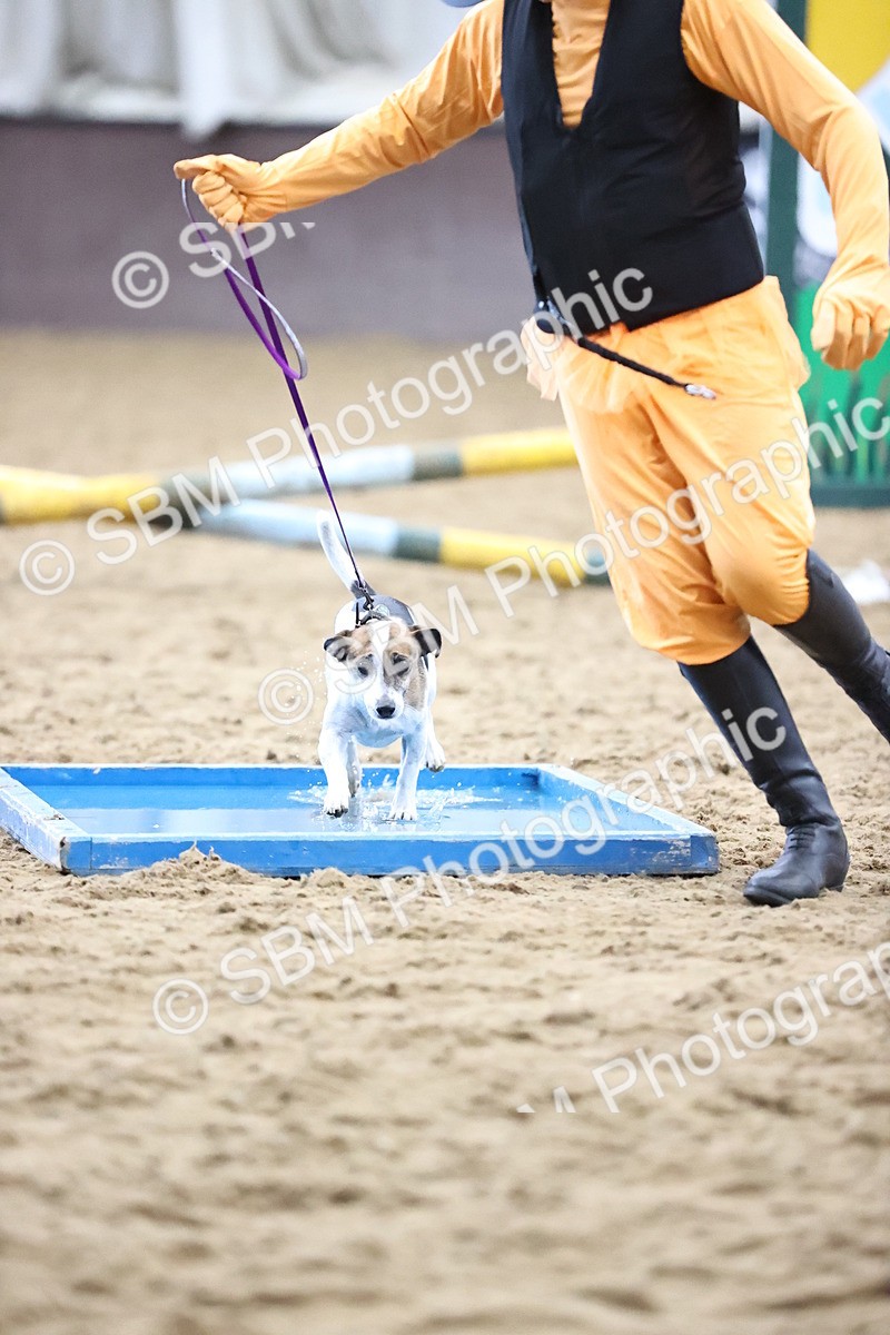 SBM_001240 - Class 3 - Horse & Hound 60cm