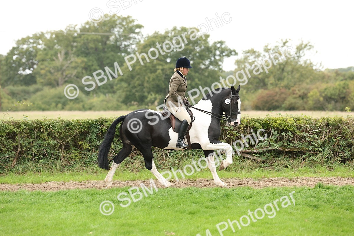 SBM_67331 - S67 - Piebald & Skewbald Horse Ridden