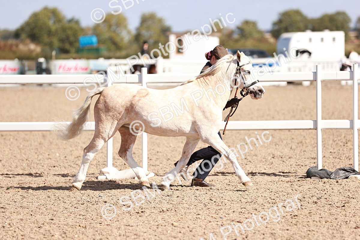 SBM_22879 - Class 706 - IH Veteran