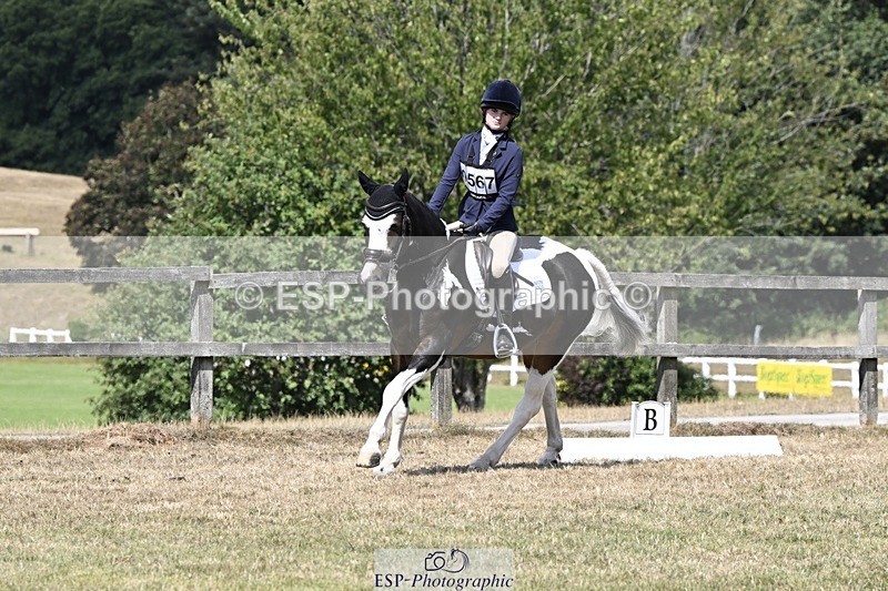 250822A-122112-22719 - DR 11.00 to 12.00