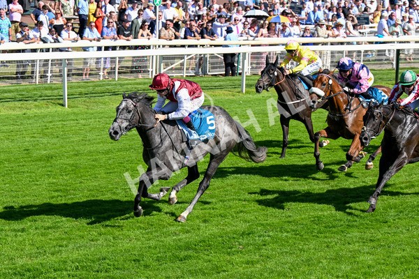 110725-Race 5-Mahras Love-0426 - Race 5 4.32pm Laura Barry Memorial Handicap