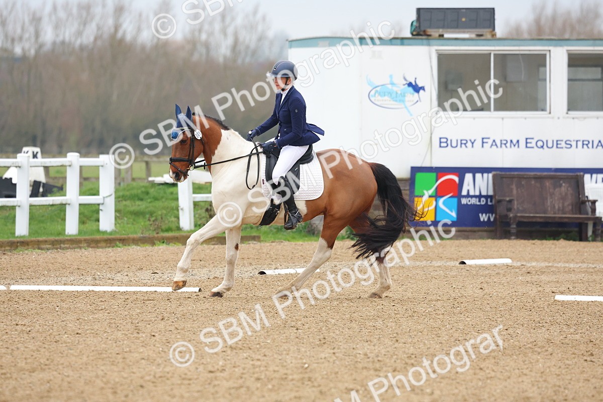 SBM_001204 - Class 8-11 - Novice 2 - Elementary 2