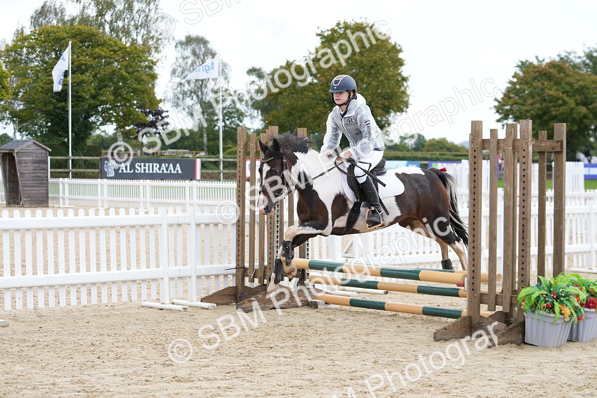 SBM_40701 - Supreme Championship Pony 50-55cm