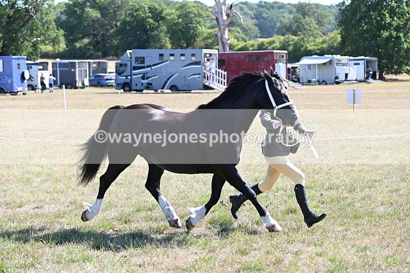 WJ6_4561 - Class 17 Mountain & Moorland