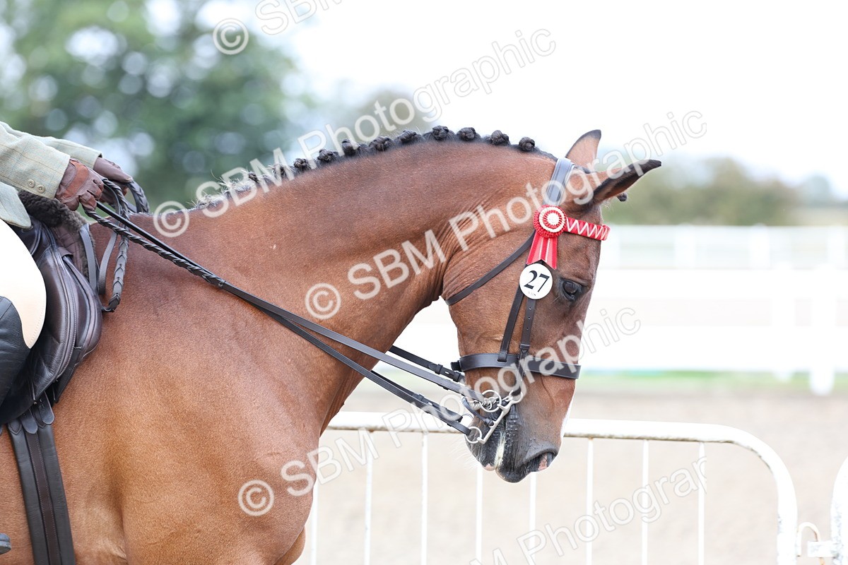 SBM_01462 - Class 52 - Ridden Veteran