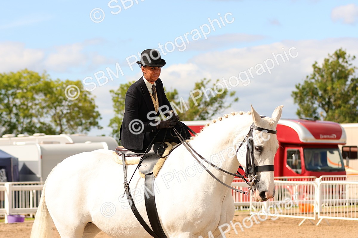 SBM_15905 - Class 216 - Best Side Saddle Horse-Pony