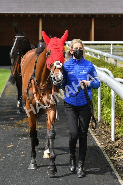 yr12052021r2-15 - Race 2 2.10pm Churchill Tyres Stakes