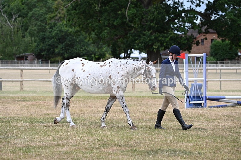 WJ6_4576 - Class 10 Coloured In-hand
