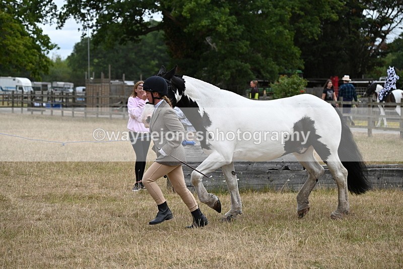 WJ6_8377 - Class 10 Coloured in Hand
