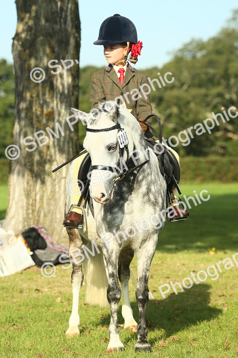 SBM_59275 - S38 - Starters Ridden Showing