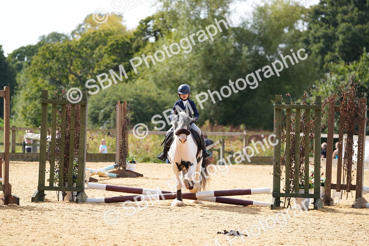 SBM_65823 - J2 - Mini Tour Junior Pony 30cm Championship