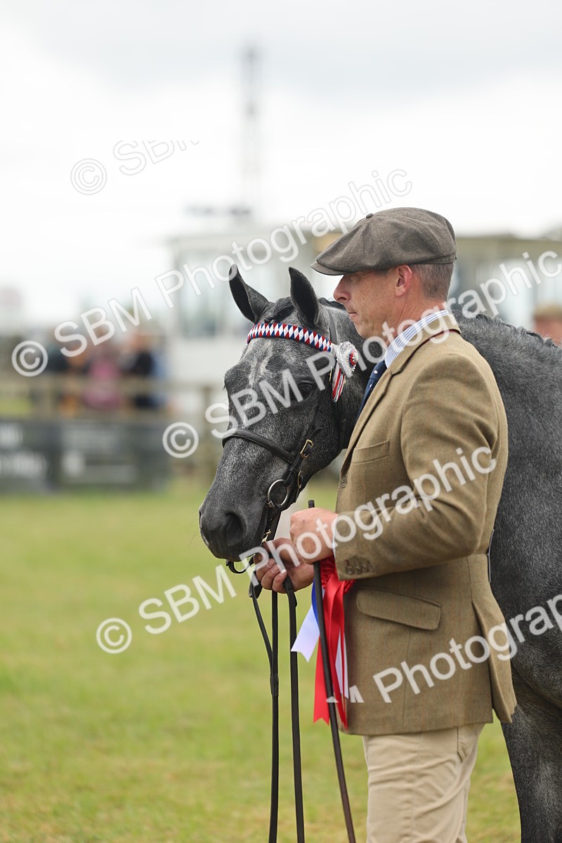 SBM_05601 - Class 68-73 - Riding Pony Breeding