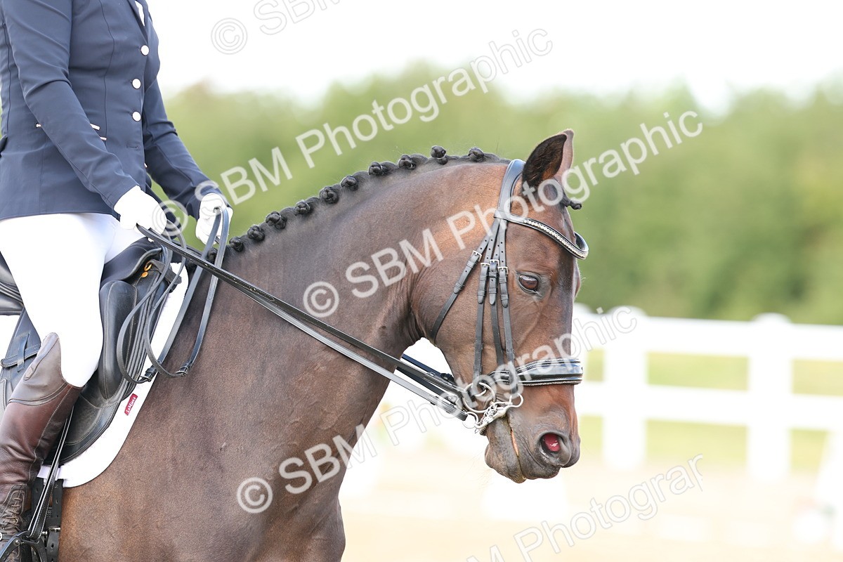 SBM_012319 - class 5 - Elementary 53 - 12.00-13.08