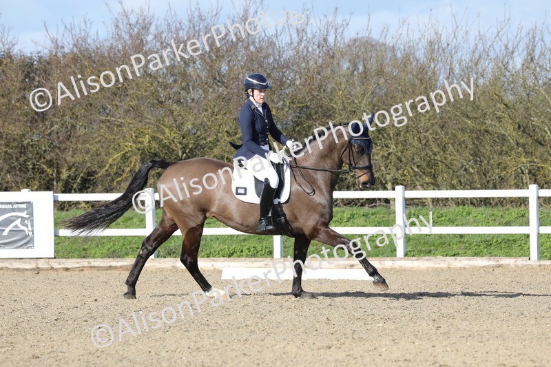 20260314-5056 - CT6 - Elementary 1