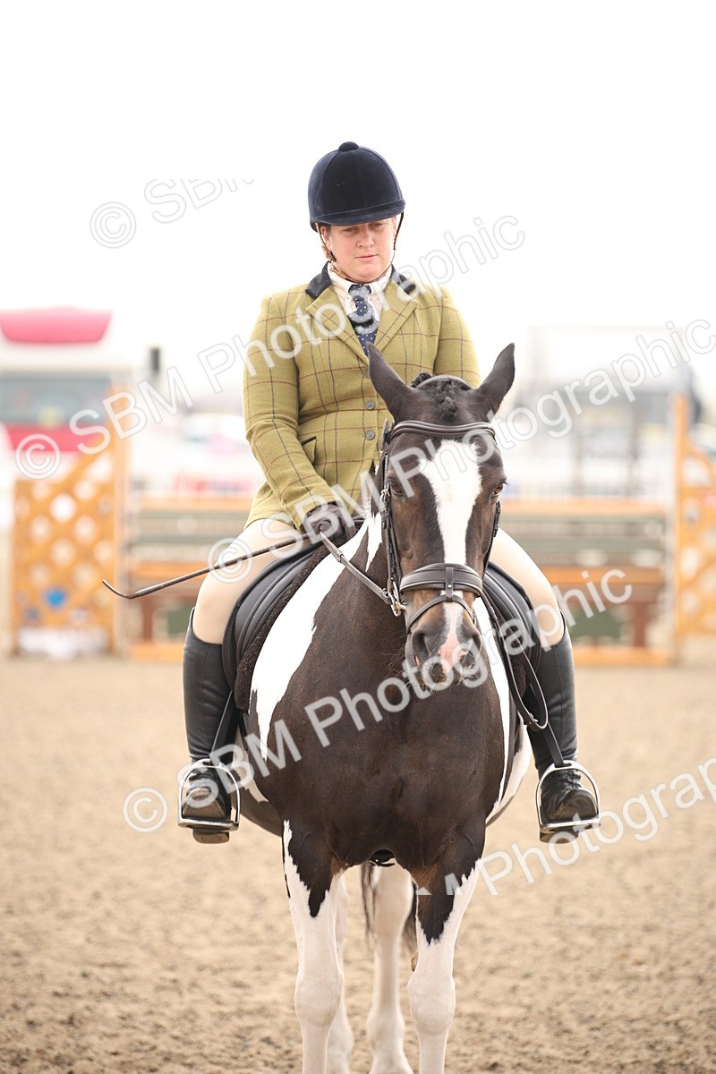 SBM_09742 - Class 401 Riding Club Pony