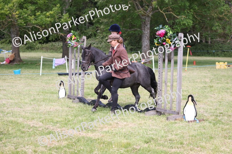 20260614-0583 - Class 20 - Beginners Working Hunter Pony