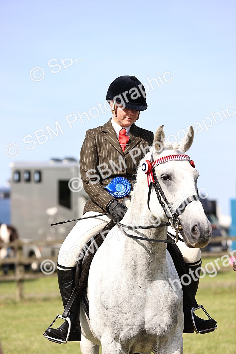 SBM_12953 - Class 75-76 LIHS BSHA Rising Star Hack Riding Horse