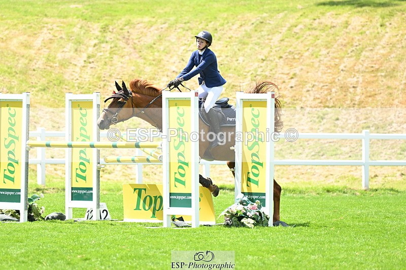 250614A-134709-06965 - Cls 20 Foxhunter