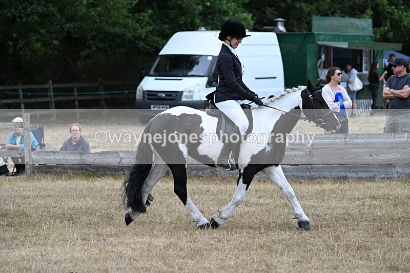 WJ7_7885 - Class 3 Family Mount