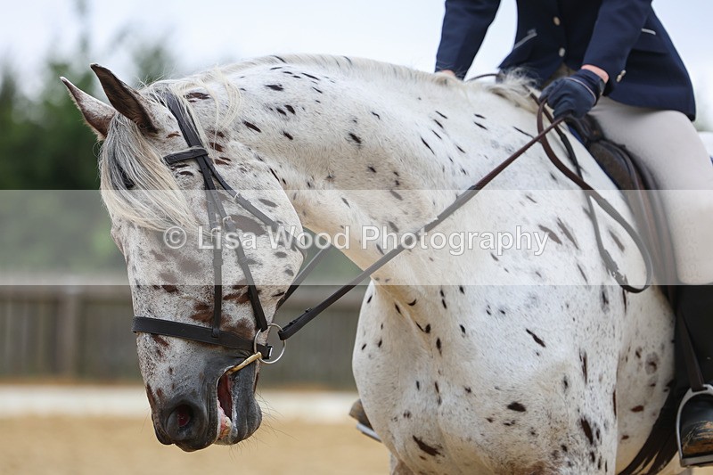 3E7A4957 - Class 1: Intro 4 2024 section A