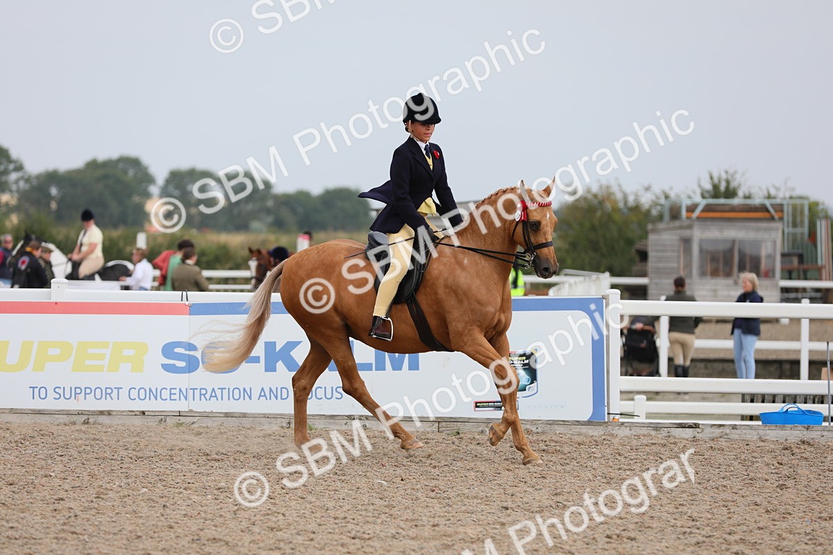 SBM_12738 - Class 307 Ridden Coloured Pony