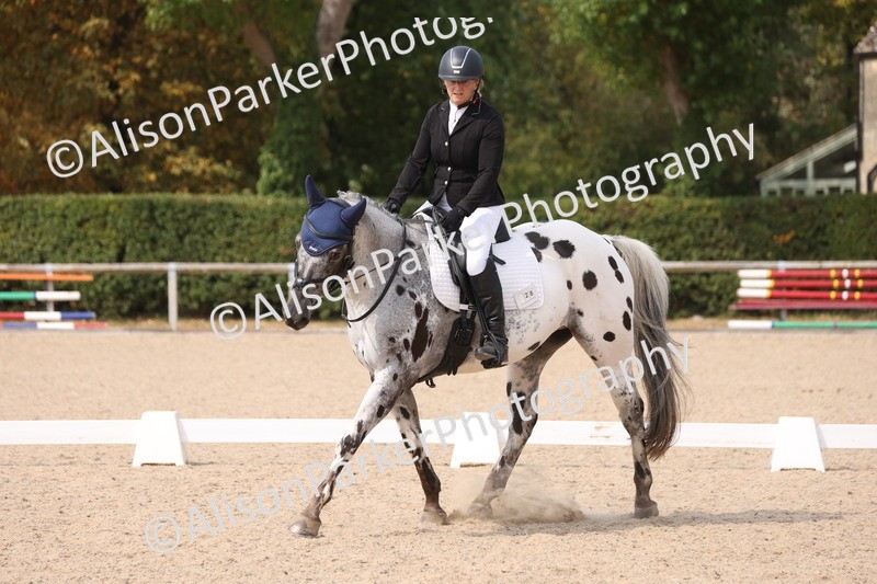 20250819-1579 - Class 5 - Novice 3