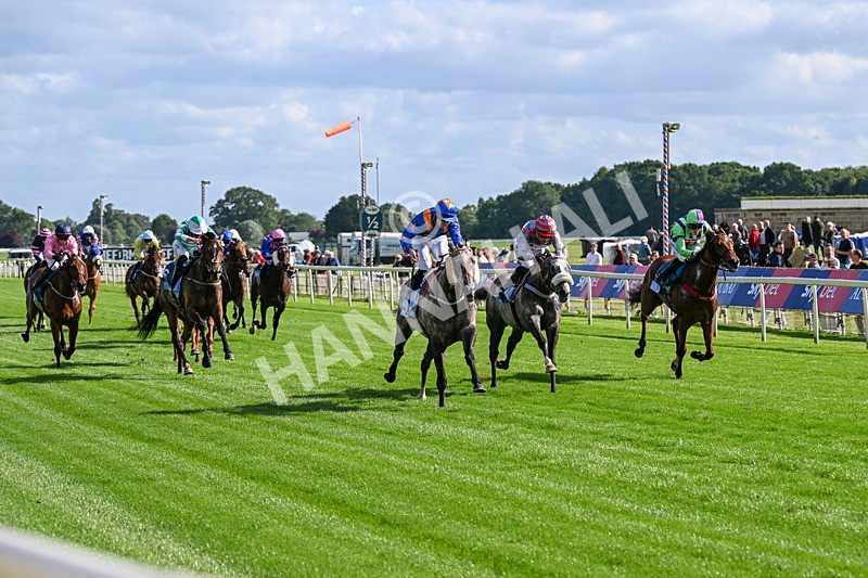 120626-Race 7-Say What You See-0413 - Race 7 17.18pm Event Traffic Control Handicap
