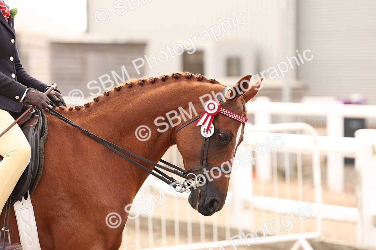 SBM_01616 - Class 52 - Ridden Veteran