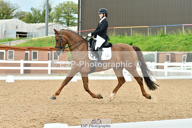 230912A-152842-01572 - Cls 13 Adv Medium 91