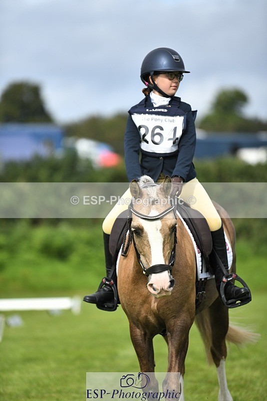 230826-102230-15456 - Sections C & D 10 to End