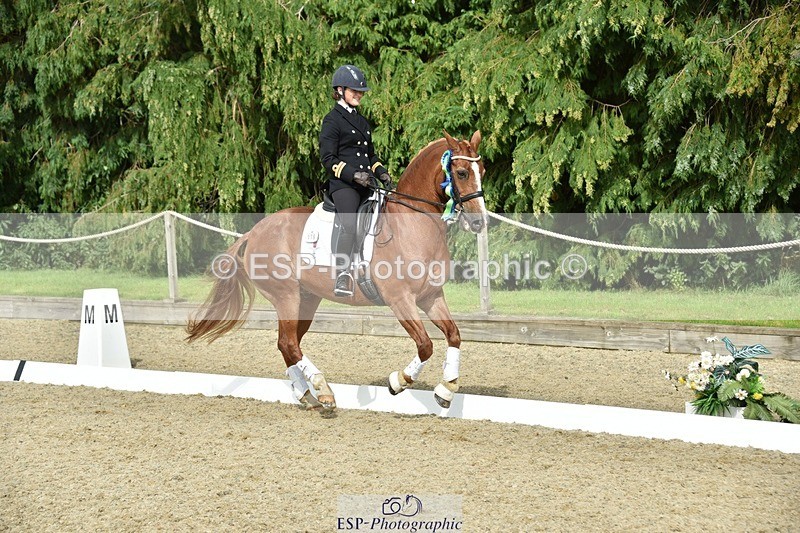 230812-160330-05349 - FEI PSG Bronze Presentations