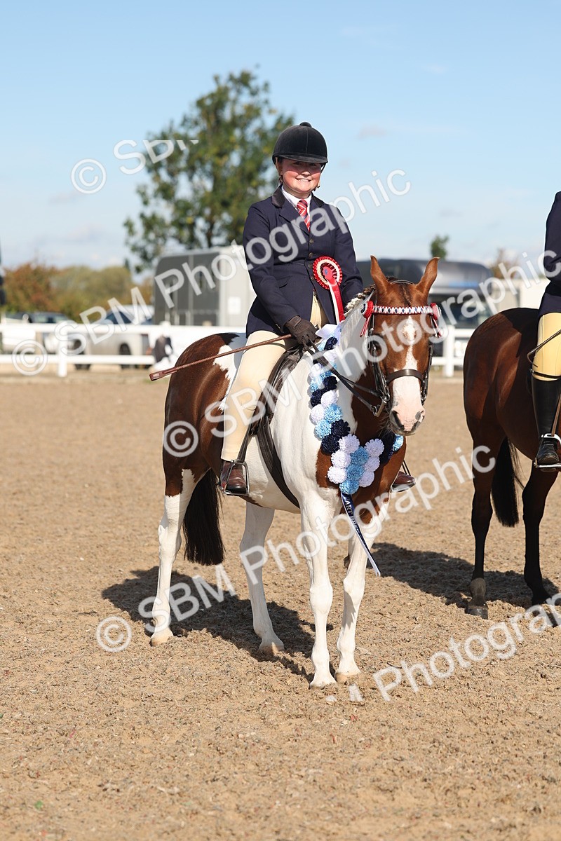 SBM_12404 - Class 304 - Ridden part Bred Horse Pony