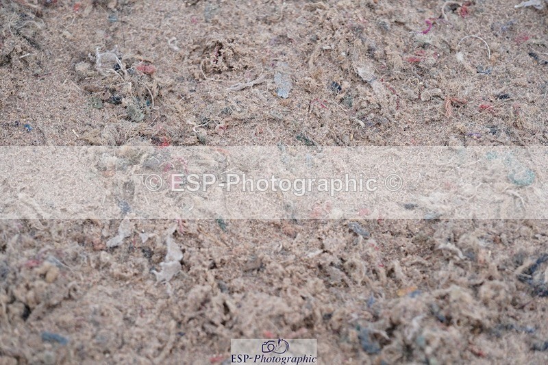 250607-135550-01245 - Cls 34 Stepping Stones