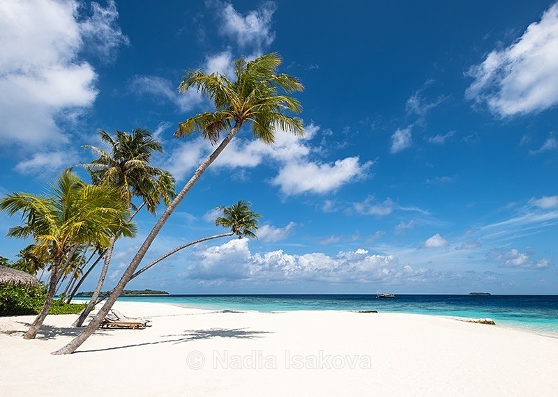  - Maldives