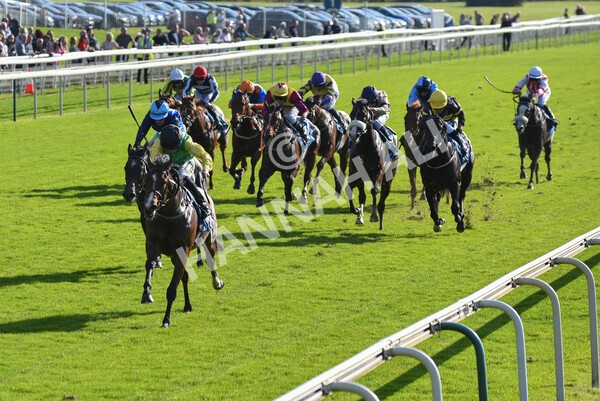 yr08102021r2-17 - Race 2 2.40pm Racing to School EBF Novice Stakes