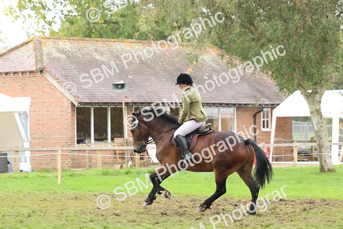 SBM_69663 - S62 - Mountain & Moorland Ridden Large Breeds