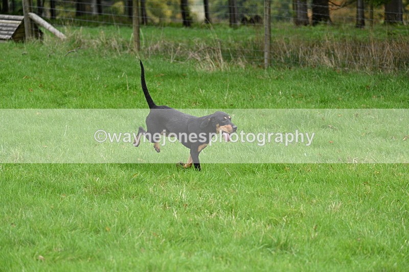 WJ7_4379 - Camera 1 Line 3