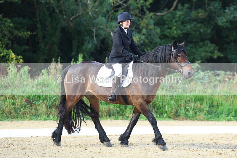 3E7A1871 - Class 1: Intro 4 2024 section A