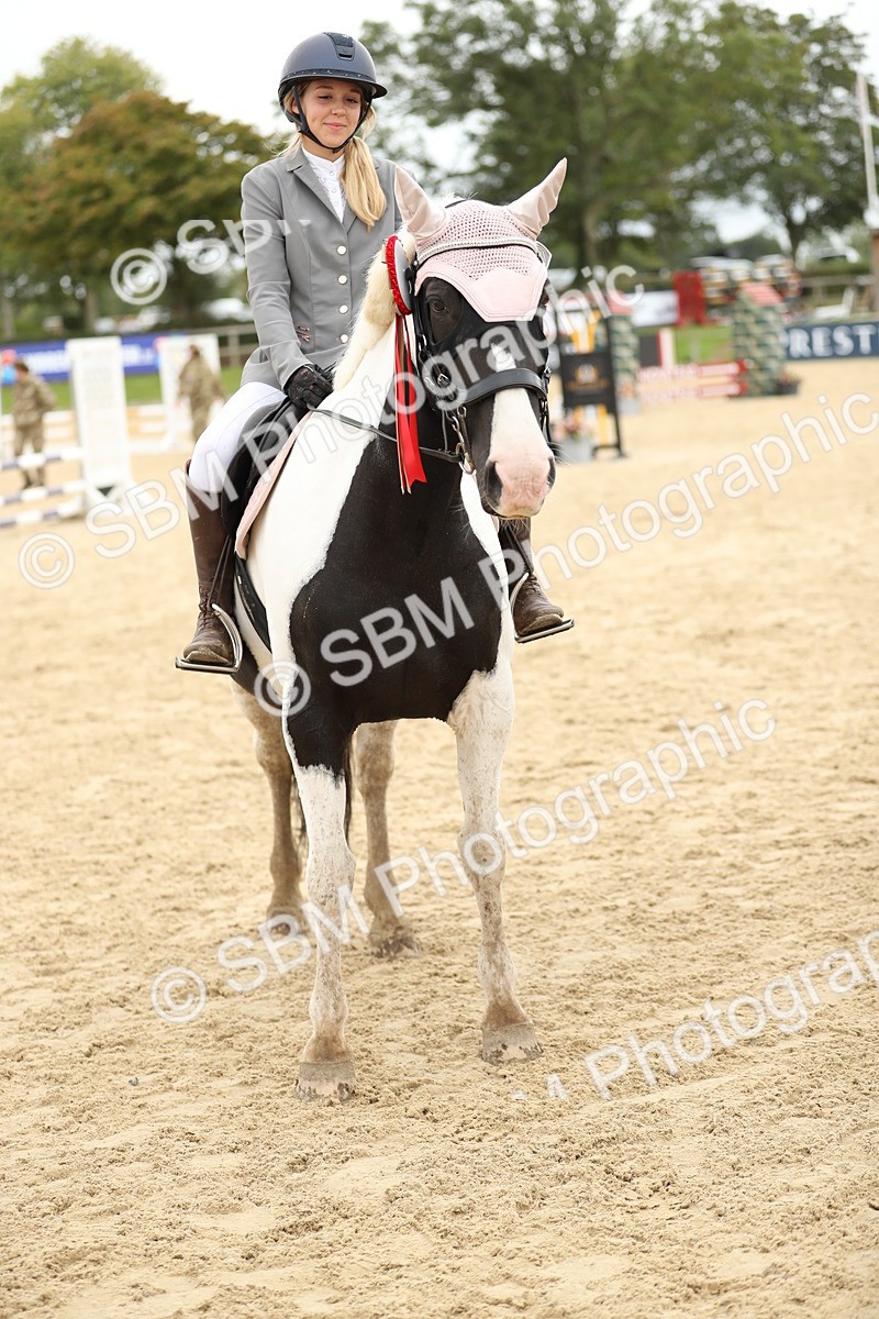 SBM_63179 - Supreme championship 75cm 80cm