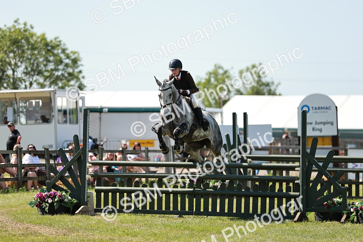 SBM_18372 - Class 112-113 - BSPS LIHS Working Sports Pony